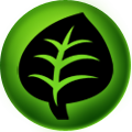 Grass